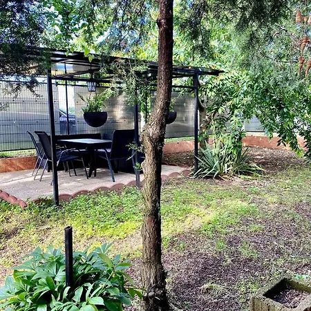 Sofia Homestay *